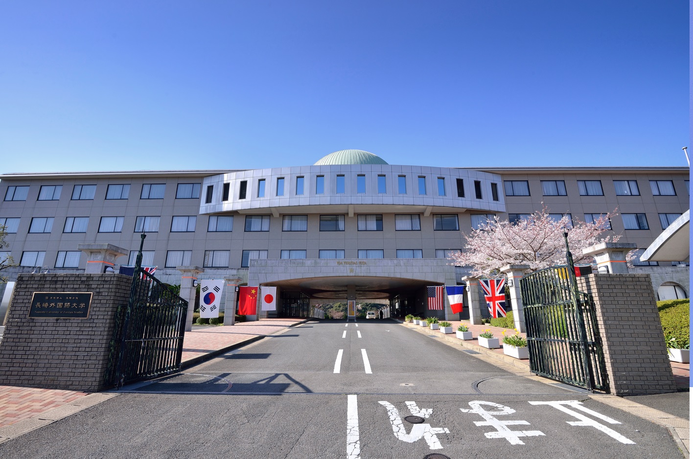 長崎国際大学　まとめ売り レワード】 長崎国際大学薬学部野球部 キャップ CP-14